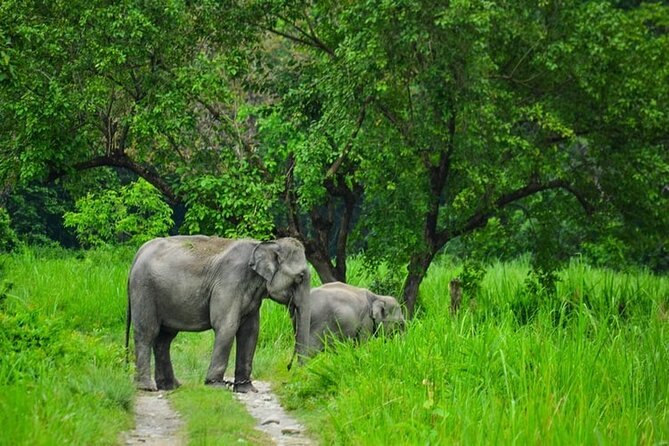 1 Day Akagera Game Drive Safari - Entering Akagera National Park