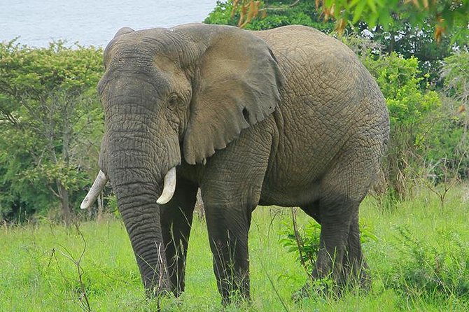 1 Day Akagera Wildlife Safari ( 2 Pax Min) - Entering Akagera National Park