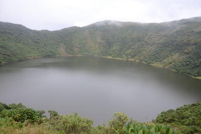 1-Day Bisoke Volcano Hiking Experience - Key points to know before you book