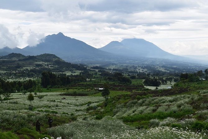 1-Day Bisoke Volcano Hiking Experience - Reaching the crater lake at the summit