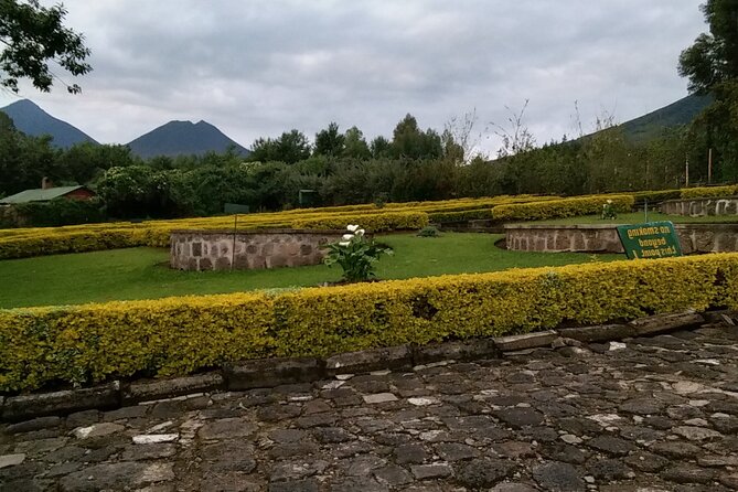 1-Day Bisoke Volcano Hiking Experience - Who should book this Bisoke day trip?