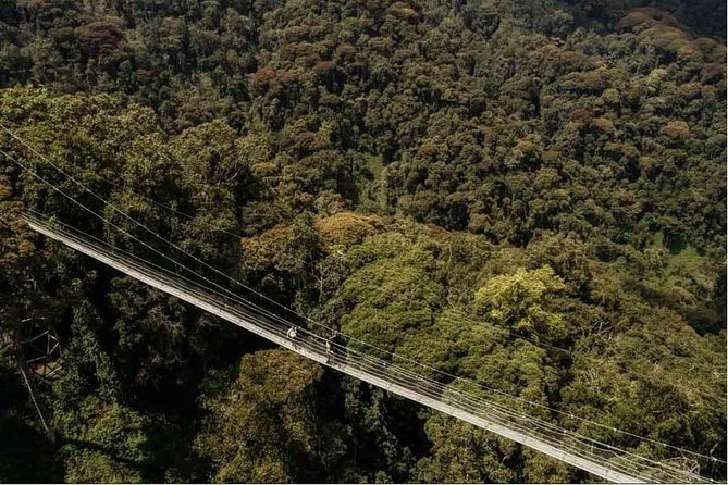 1 Day Canopy Walk Adventure in Nyungwe Forest National Park - Key things to know before booking
