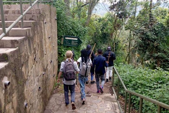 1 Day Canopy Walk Adventure in Nyungwe Forest National Park - Lunch at Gisakura before the canopy walk