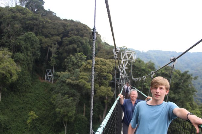 1 Day Canopy walk way in Nyungwe Natioinal park - Key points to know before you book