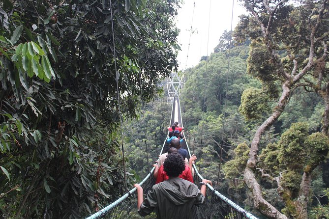 1 Day Canopy walk way in Nyungwe Natioinal park - What the $522.50 price includes