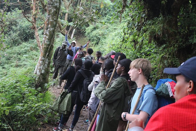 1 Day Canopy walk way in Nyungwe Natioinal park - The strongest parts of the experience