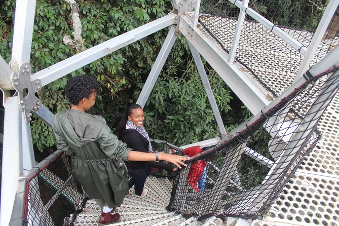 1 Day Canopy walk way in Nyungwe Natioinal park - What makes the Gisakura tea plantation visit worthwhile