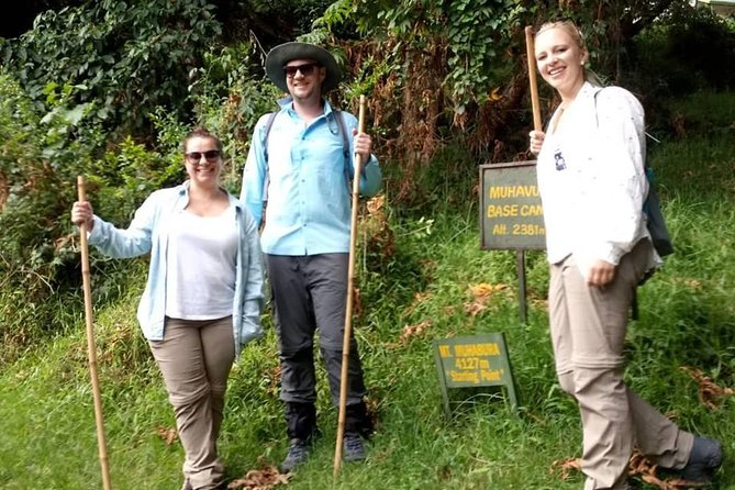1 Day Gorilla Trekking Uganda - Mgahinga or Bwindi: two possible forest settings