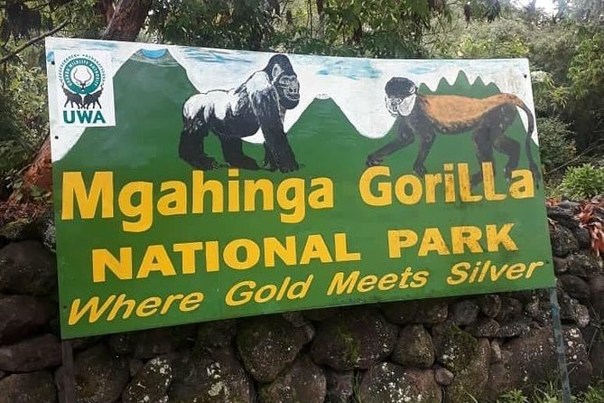 1 Day Gorilla Trekking Uganda - Crossing from Rwanda into Uganda