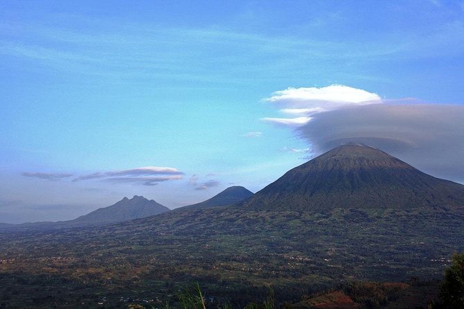 1 Day Gorilla trekking volcanoes national park - Why the conservation explanation matters