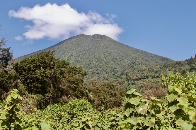 1 Day Rwanda Gorilla Trekking Tour - The 4:00 am Kigali pickup and the road to Musanze
