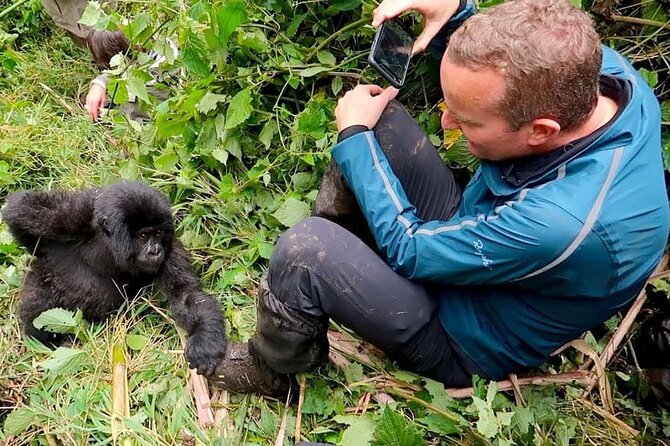 1 Day Rwanda Gorilla Trekking Tour In The Volcanoes National Park - Why this day trip works from Kigali