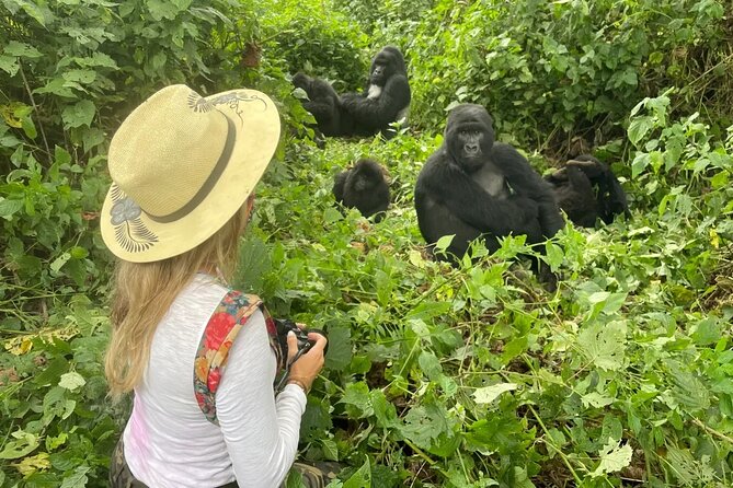 1 Day Rwanda Gorilla Trekking Tour In The Volcanoes National Park - Two to five hours searching for a gorilla family