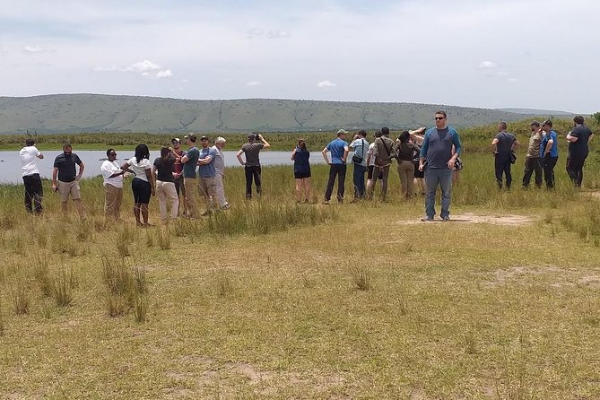 1 Day Safari to Akagera national park-Big5 Safari - The Lake Ihema boat cruise at 2:00 pm