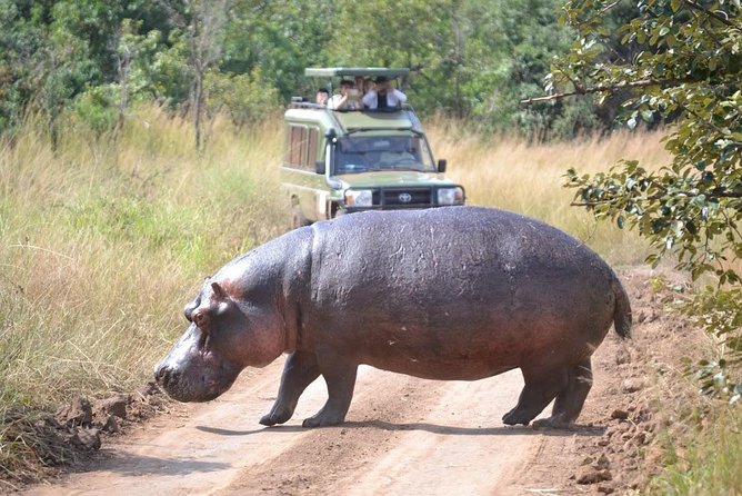1 Day Safari to Akagera national park-Big5 Safari - The 5:00 am pickup and drive east