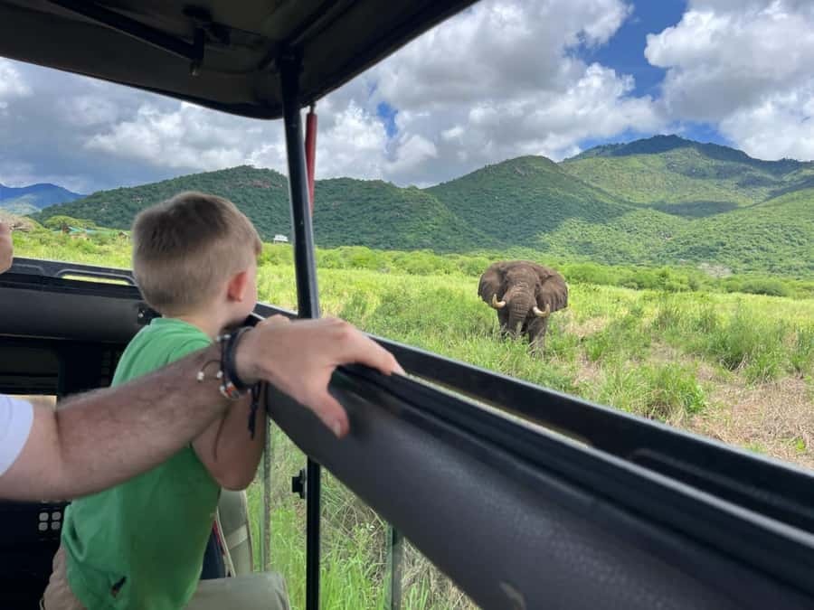 2-Day Akagera Game Drive, Boatride & Safari resort overnight - Why Akagera works well for a short safari