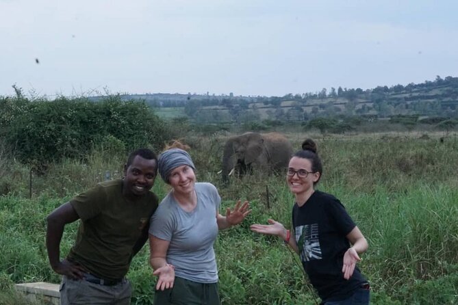 2 Days & 1 Night Akagera National Park Safari Tour - Key points at a glance