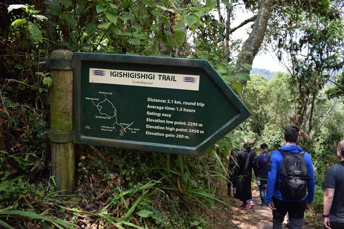 2 Days Chimpanzees trekking Tour and Canopy walk Adventure - Day 1: Kigali to Nyanza, Butare, and Nyungwe