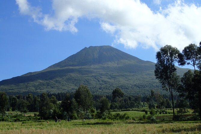 2 Days Gorilla & Golden Monkey Trekking Safaris - Gorilla trekking and the one-hour encounter