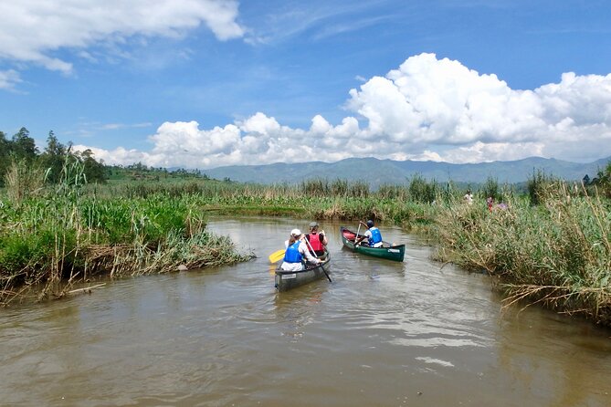 2 Days Gorilla & Golden Monkey Trekking Safaris - Golden monkeys in Volcanoes National Park