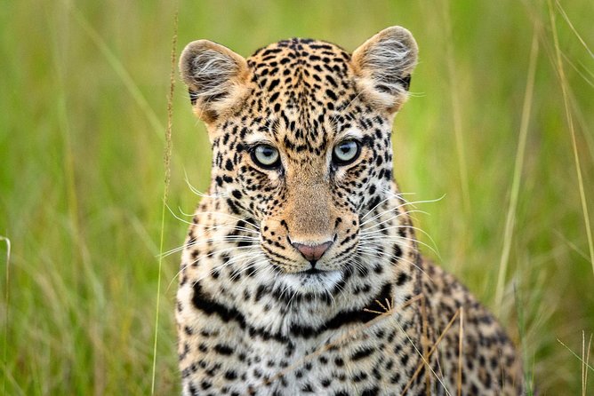 2 Days in Akagera National Park - The 7 a.m. drive from south to north
