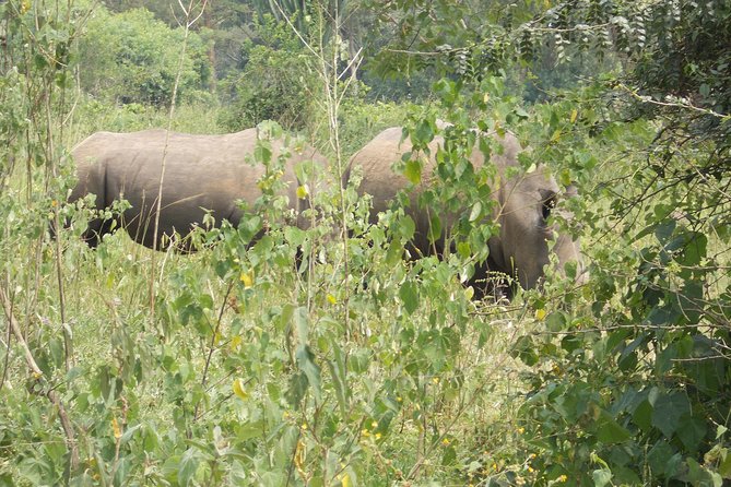 2 Days Murchison Falls Big 5 Savannah wildlife safari - The long road to Murchison Falls