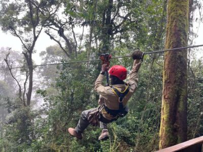2 Days Nyungwe National Park Tours -Chimp-Canopy-Waterfall