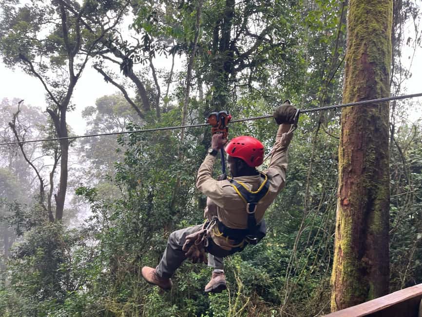 2 Days Nyungwe National Park Tours -Chimp-Canopy-Waterfall - Meeting Nyungwe’s forest from the road