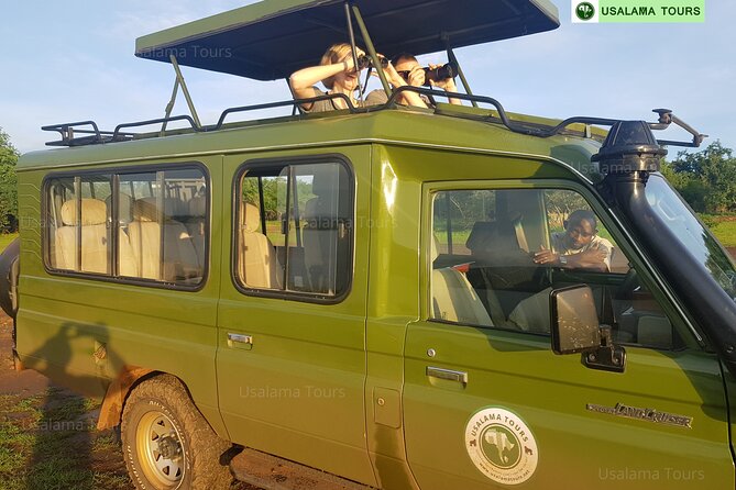 2 days trip_Akagera National Park (Wildlife Safari) - The four-to-five-hour morning game drive