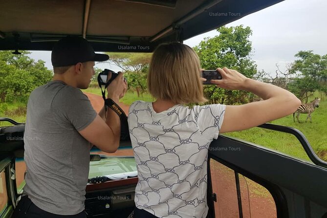 2 days trip_Akagera National Park (Wildlife Safari) - The northern route and final park views