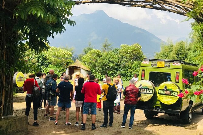 2 days Uganda Gorilla trekking - The practical challenges of doing Bwindi in two days