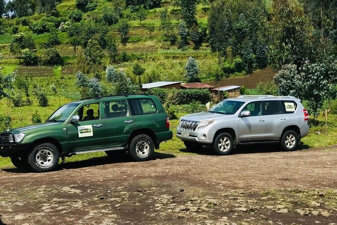 2 days Uganda Gorilla trekking - Small details that improve the day