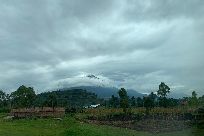 3 Day Gorilla Trek at Bwindi National Park via Kigali - What the $1,940 price covers