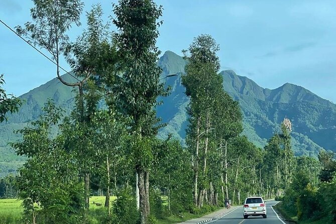 3 Days Gorilla & Golden Monkey Trekking Safaris - Day 1: Kigali city sights and the road to Kinigi