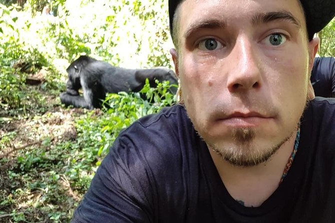 3 Days Uganda Gorilla Trekking Safari - Bwindi’s forest and the gorilla encounter