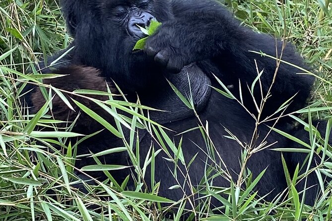 5 Days Akagera and Volcanoes National Park - Who will get the most from this Rwanda route?