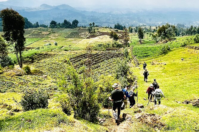 5 Days Akagera and Volcanoes National Park - Akagera’s open country brings the safari feeling