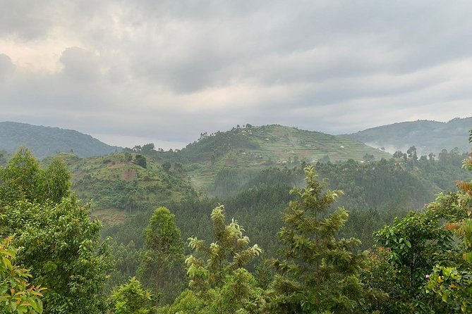 6 Days Rwanda Uganda Budget Wildlife Safari - What the $2,885 price covers