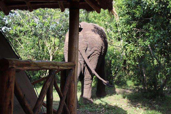 8 Day Gorilla Trek, Wildlife Safari and Chimp Habituation Experience - Day 1: Kigali to Bwindi through Cyanika