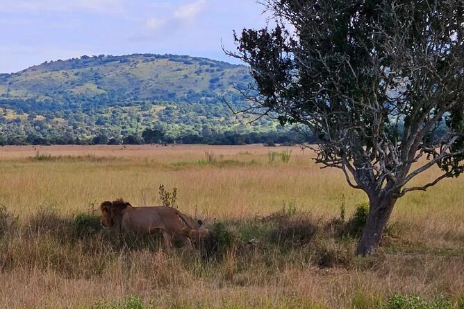 Akagera National Park 1 day Safari Experience - The first three-hour game drive