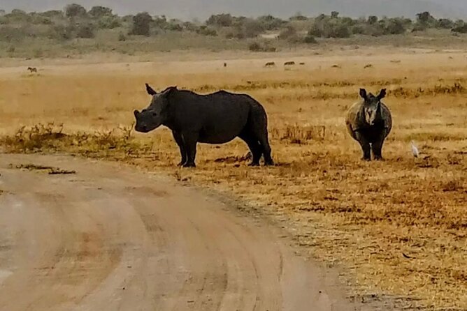 Akagera National Park 1 day Safari Experience - Returning to Kigali after sunset approaches