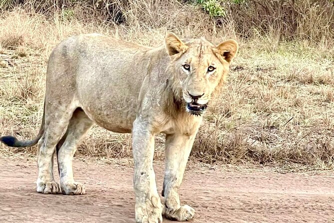 Akagera National Park 1 day Safari Experience - The 5 AM departure and the road east
