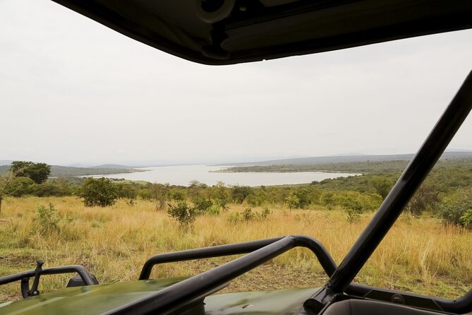 Akagera National Park Guided Day Pass - What the guide adds to the day