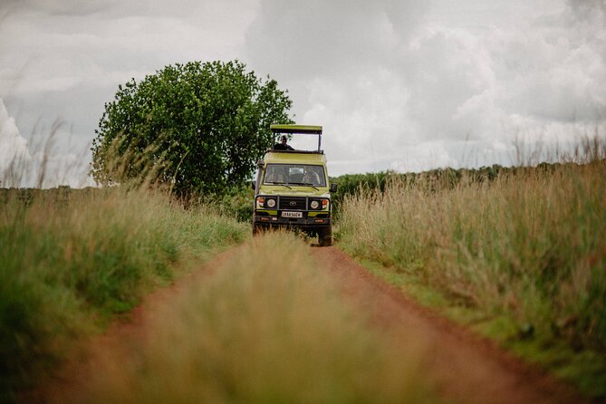 Big 5 Safari Day Trip - Who will enjoy this day most