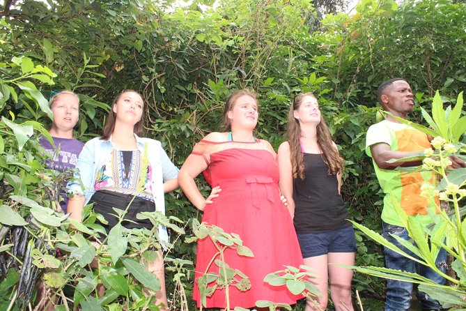 Boat cruise and adventures -Karongi - Key points at a glance