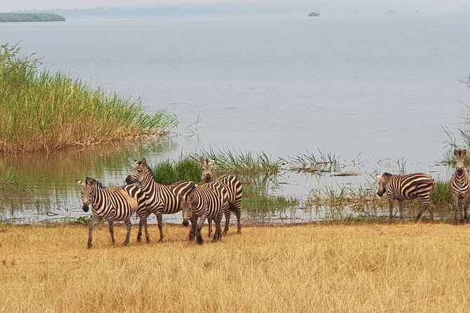 Cool Share Day Akagera Game Drive, Daily Depart, Boat Ride, Lunch - Lake Ihema by boat for one hour