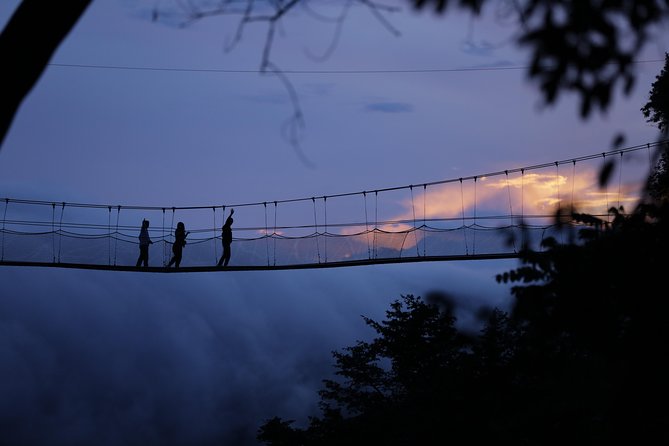 Discover the Beauty of Rwanda in 12Days - Volcanoes National Park and the gorilla encounter
