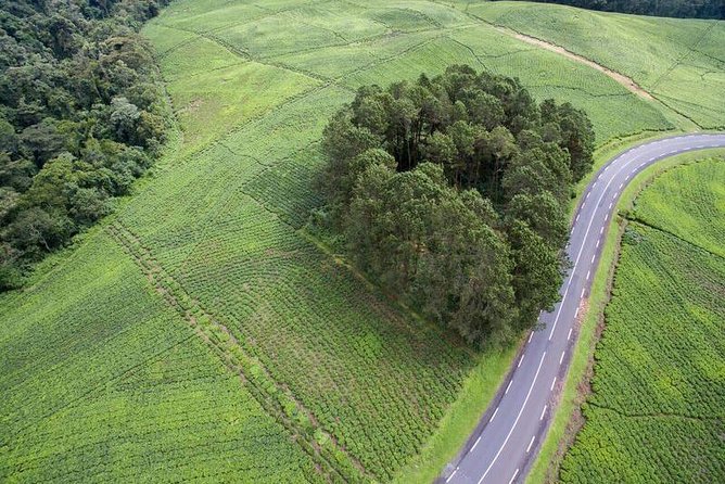 Discover the Beauty of Rwanda in 12Days - Nyanza, royal traditions, and community-based tourism