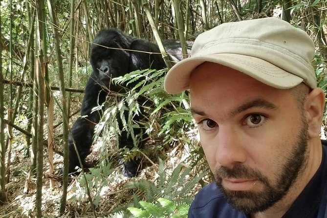 From Kigali: 10 Hour Day-trip Rwanda Gorilla Trekking with Lunch - The 4:00 am drive from Kigali to Musanze