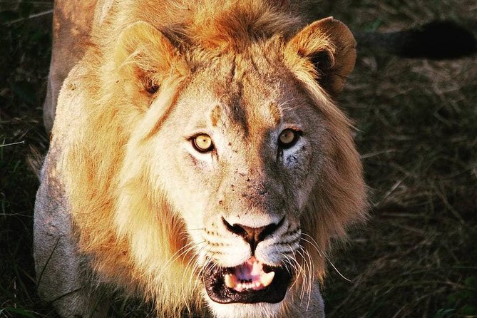 From Kigali: 12 Hour Custom Day trip for game Drive in Akagera NP - Key points before you book